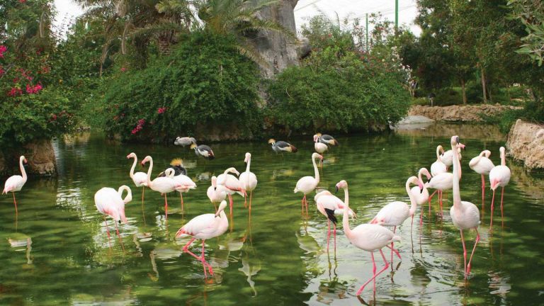 عکسهای باغ پرندگان مشهد